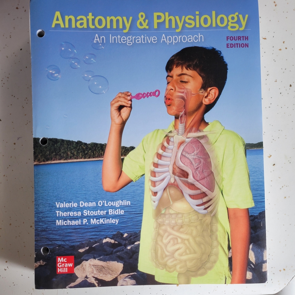 Anatomy & Physiology 4th Edition Loose-leaf Textbook ISBN 978-1-264-26541-1